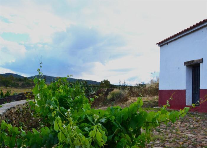Casa Rural El Abuelo Alonso La Codosera المظهر الخارجي الصورة